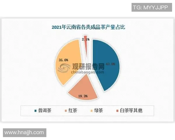 2023年广东篮球赛程全面解析与精彩赛事回顾